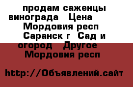 продам саженцы винограда › Цена ­ 300 - Мордовия респ., Саранск г. Сад и огород » Другое   . Мордовия респ.